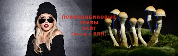 MDMA Елизово