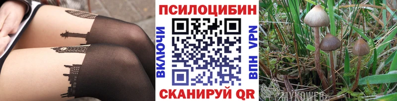 Купить закладки  Чусовой  Псилоцибиновые грибы мухоморы 